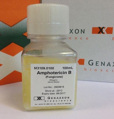 Fungizone Amphotericin B